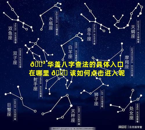 🐳 华盖八字查法的具体入口在哪里 🐅 该如何点击进入呢